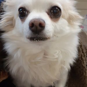 Meet your Posher, Paula